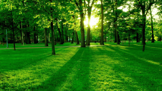 Green Commitment