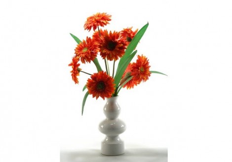 Gerber Daisies with Vase