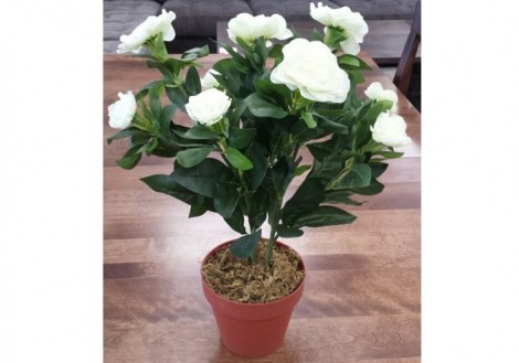 Silk Potted Azaleas
