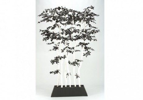 Black Olive Tree Screen
