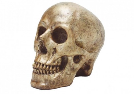 Resin Human Skull