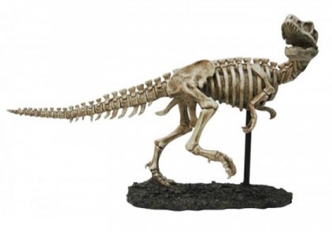 Small T-rex Sculpture