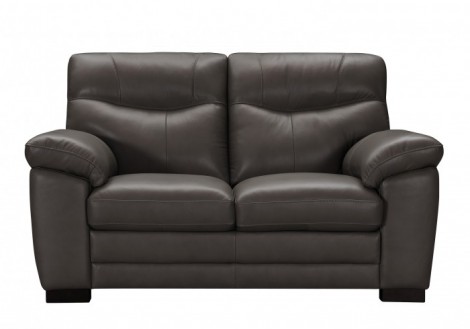 Flynn Leather Loveseat