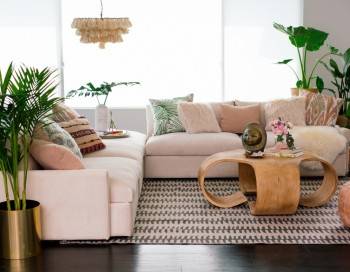 Caso Sectional