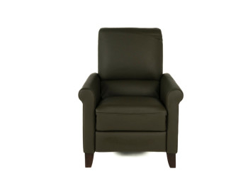 Arya Leather Recliner Black front