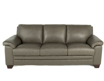 Carrere Leather Sofa Ash condo front