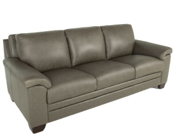 Carrere Leather Sofa Ash condo side