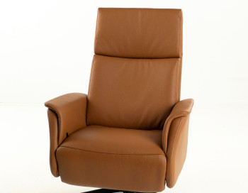 Darius Medium Manual Recliner Edmonton leather