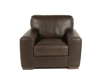 Ferro Leather Chair