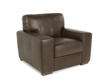 Ferro Leather Chair