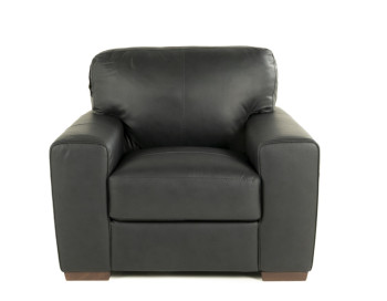 Ferro Leather Chair