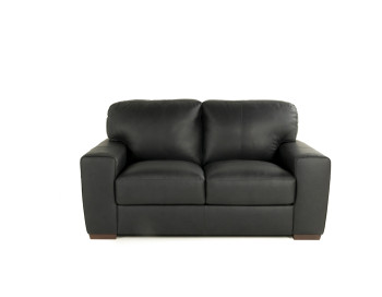 Ferro Leather Loveseat