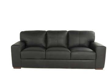 Ferro Leather Loveseat