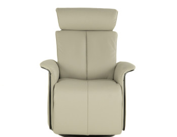 Jewel Leather Power Recliner