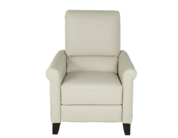 Arya Leather Recliner