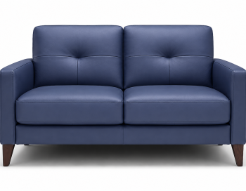 Evan Leather Loveseat