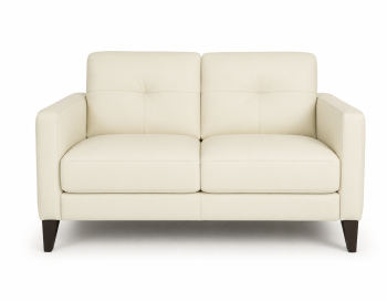 Evan Leather Loveseat