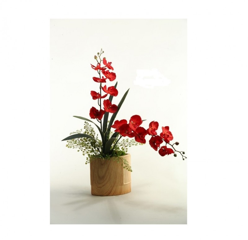 Deep Red Orchids