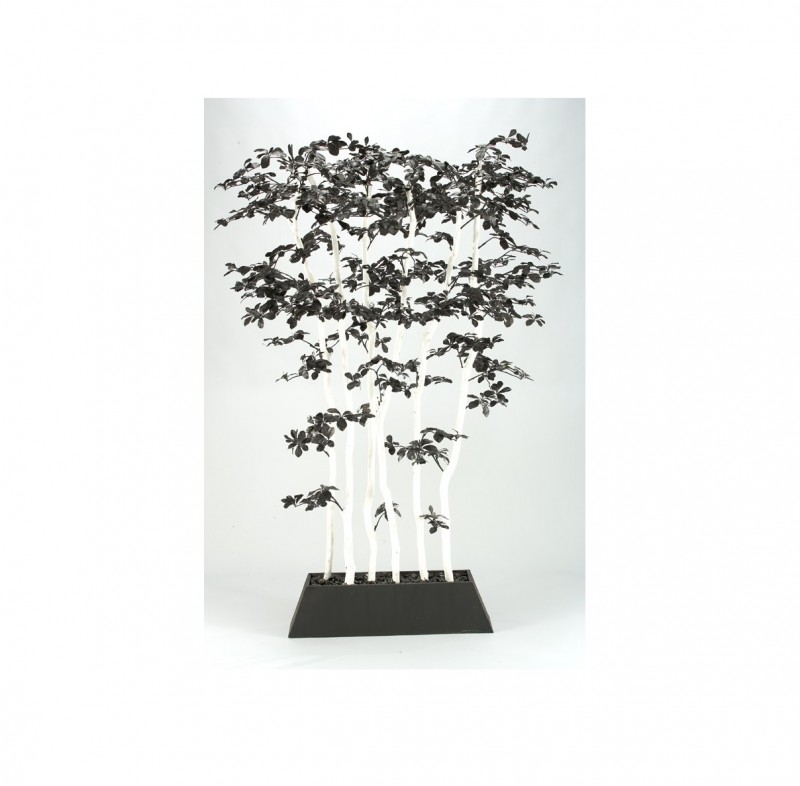 Black Olive Tree Screen