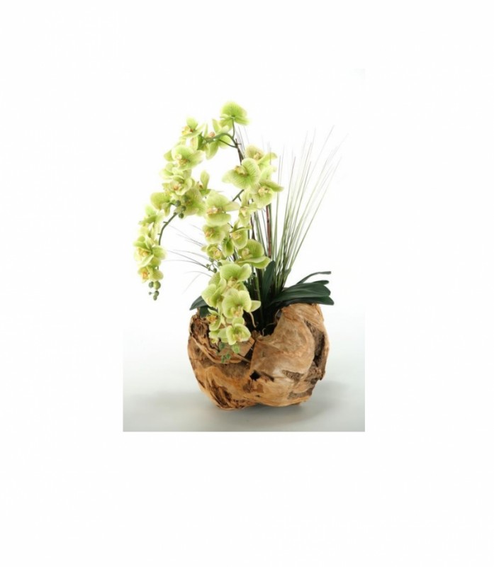 Phael Orchids in Wooden Ball