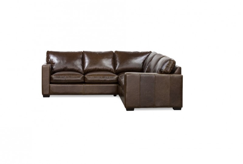 Palliser Colebrook Sectional