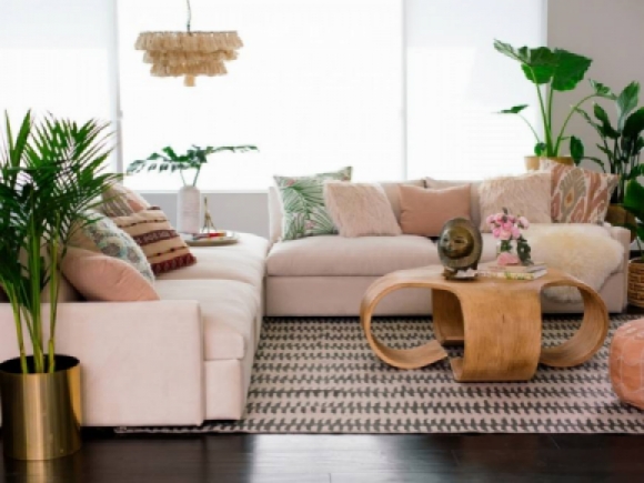 Caso Sectional