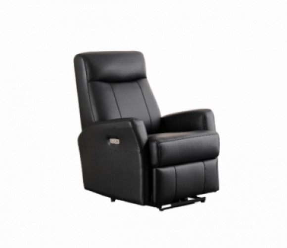Veneta Leather Power Recliner
