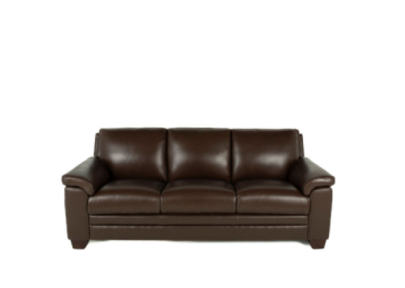 Carrere Leather Sofa Brown condo front