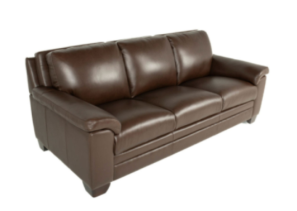 Carrere Leather Sofa Brown condo side