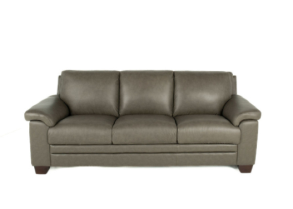 Carrere Leather Sofa Ash condo front