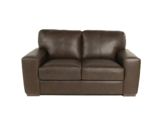 Ferro Leather Loveseat