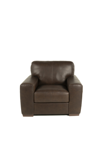 Ferro Leather Chair