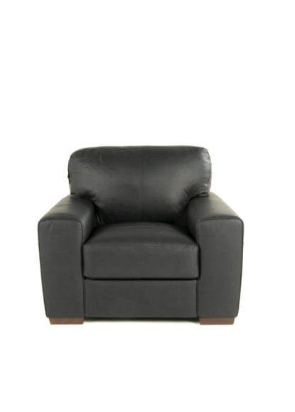 Ferro Leather Chair