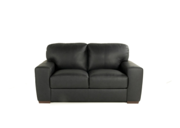 Ferro Leather Loveseat