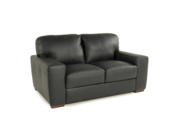 Ferro Leather Loveseat