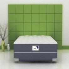 Sprout Firmus Twin Sized Environmentally-Friendly Natural Mattress