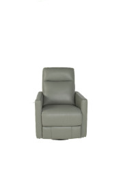 Ashby Power Swivel Recliner