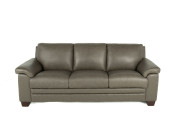 Carrere Leather Sofa Ash condo front