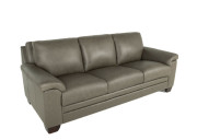 Carrere Leather Sofa Ash condo side