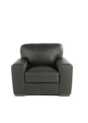 Ferro Leather Chair