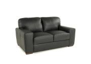 Ferro Leather Loveseat