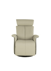 Jewel Leather Power Recliner