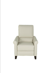 Arya Leather Recliner
